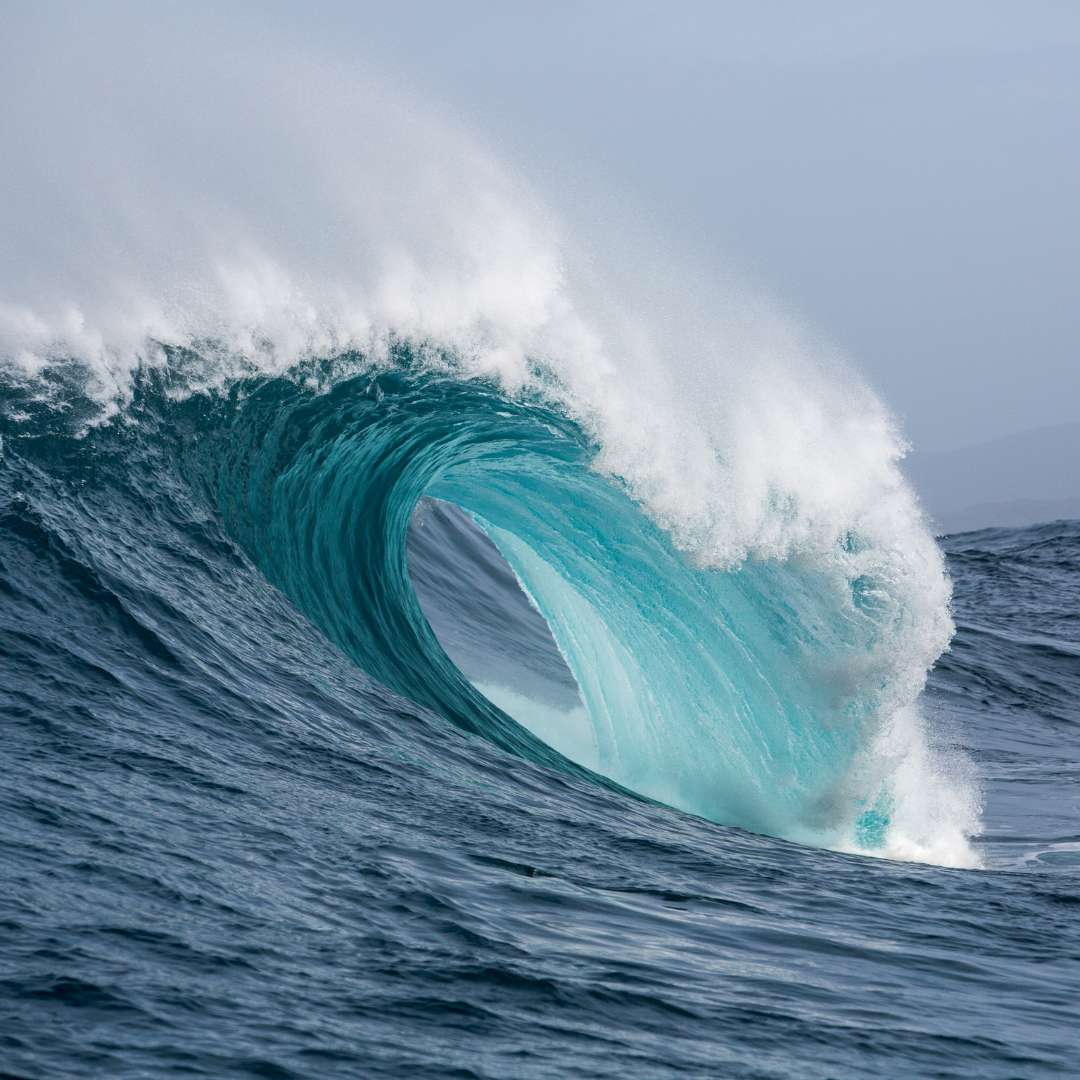 Vague mer océan - eau de mer hypertonique et vivante - 1L